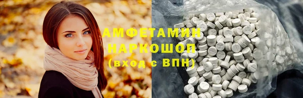 ГАЛЛЮЦИНОГЕННЫЕ ГРИБЫ Инта