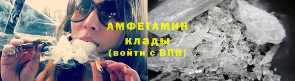 ГАЛЛЮЦИНОГЕННЫЕ ГРИБЫ Гусев