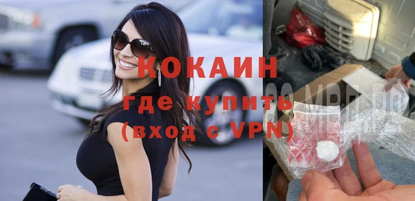 ГАЛЛЮЦИНОГЕННЫЕ ГРИБЫ Инта