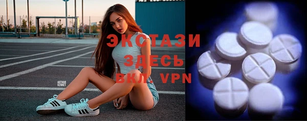 ГАЛЛЮЦИНОГЕННЫЕ ГРИБЫ Инта