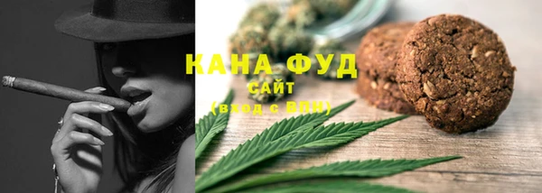 ГАЛЛЮЦИНОГЕННЫЕ ГРИБЫ Инта