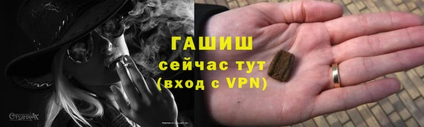 ГАЛЛЮЦИНОГЕННЫЕ ГРИБЫ Инта