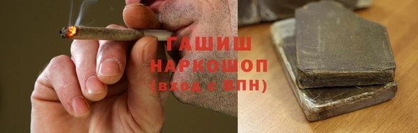 индика Фёдоровский