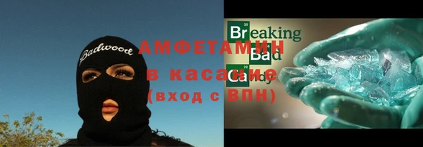 ГАЛЛЮЦИНОГЕННЫЕ ГРИБЫ Инта