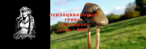 apvp Карпинск