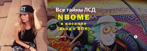 ГАЛЛЮЦИНОГЕННЫЕ ГРИБЫ Инта