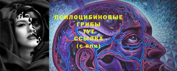 apvp Карпинск