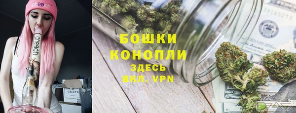 индика Гусь-Хрустальный