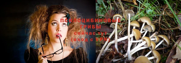 эйфоретик Нестеровская