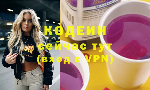 индика Гусиноозёрск