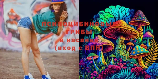 apvp Карпинск
